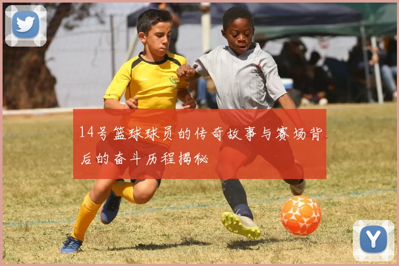 14号篮球球员的传奇故事与赛场背后的奋斗历程揭秘