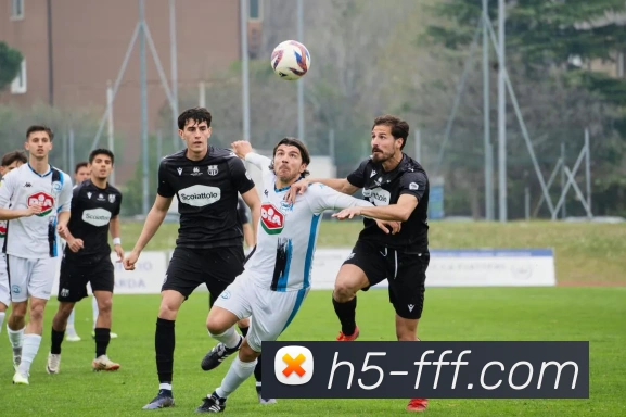 FFF体育官方网站服务体系