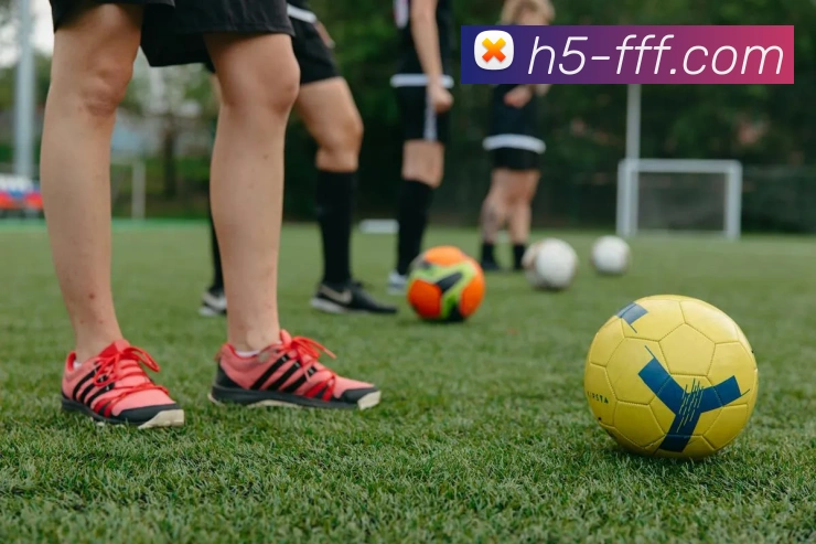 奖项证书